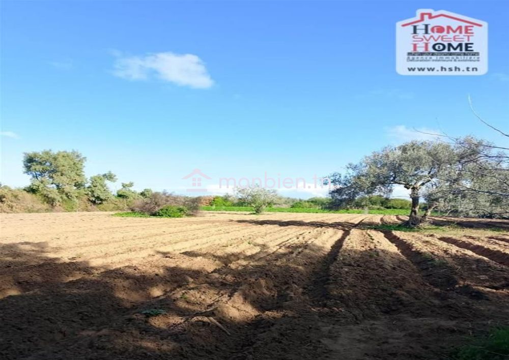 Terrain agricole Silva à vendre à Hammam Ghezèze