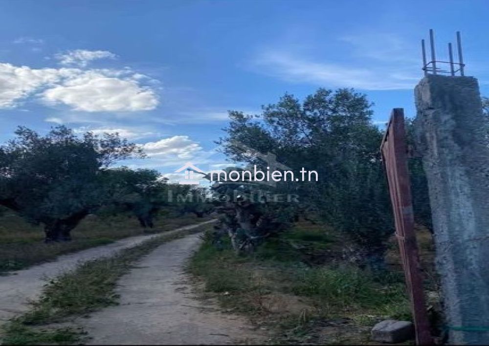 Terrain de 950 m² à vendre à Hammamet zone théâtre 51355351