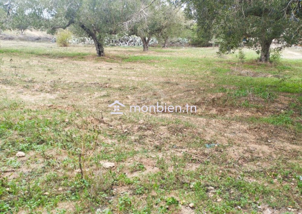 Terrain de 850 m² à vendre à Hammamet Sud 51355351