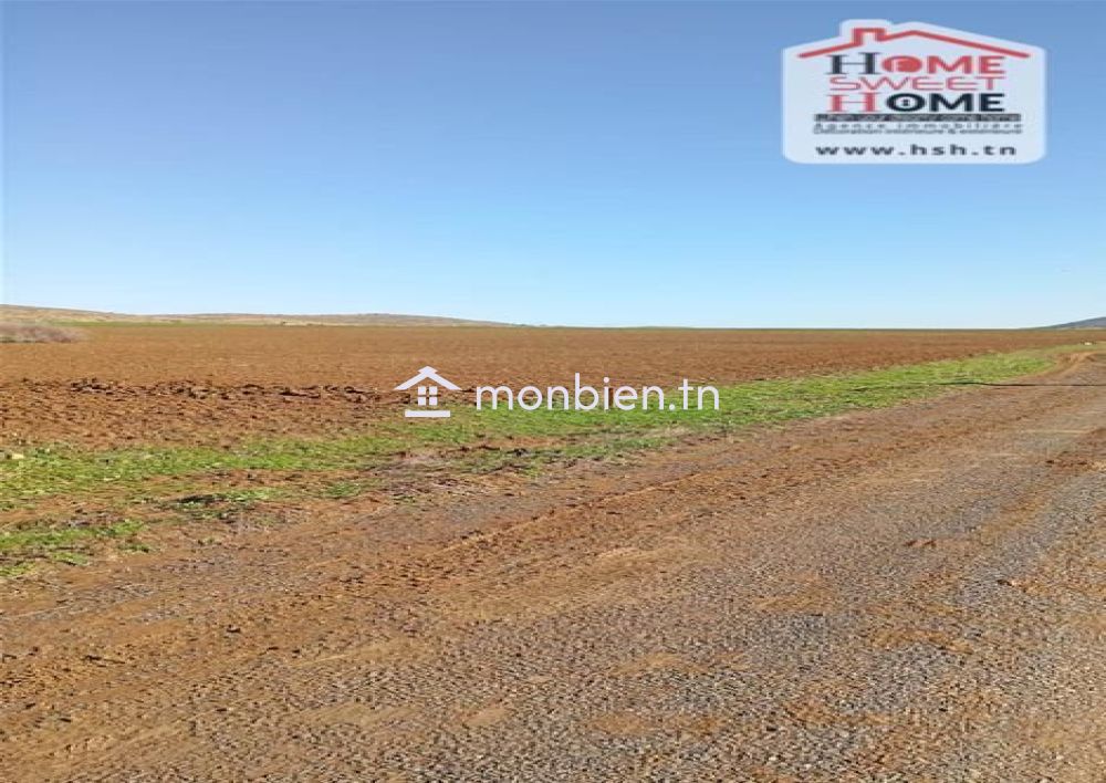 Terrain agricole Fertilia à vendre à Mjez El Beb