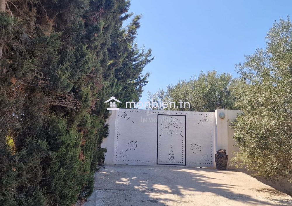 Spacieuse maison S+2 à Hammamet Sud à vendre 51355351