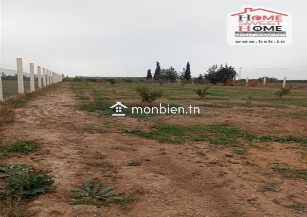 Terrain agricole Agrumia à vendre à Mjez El Beb