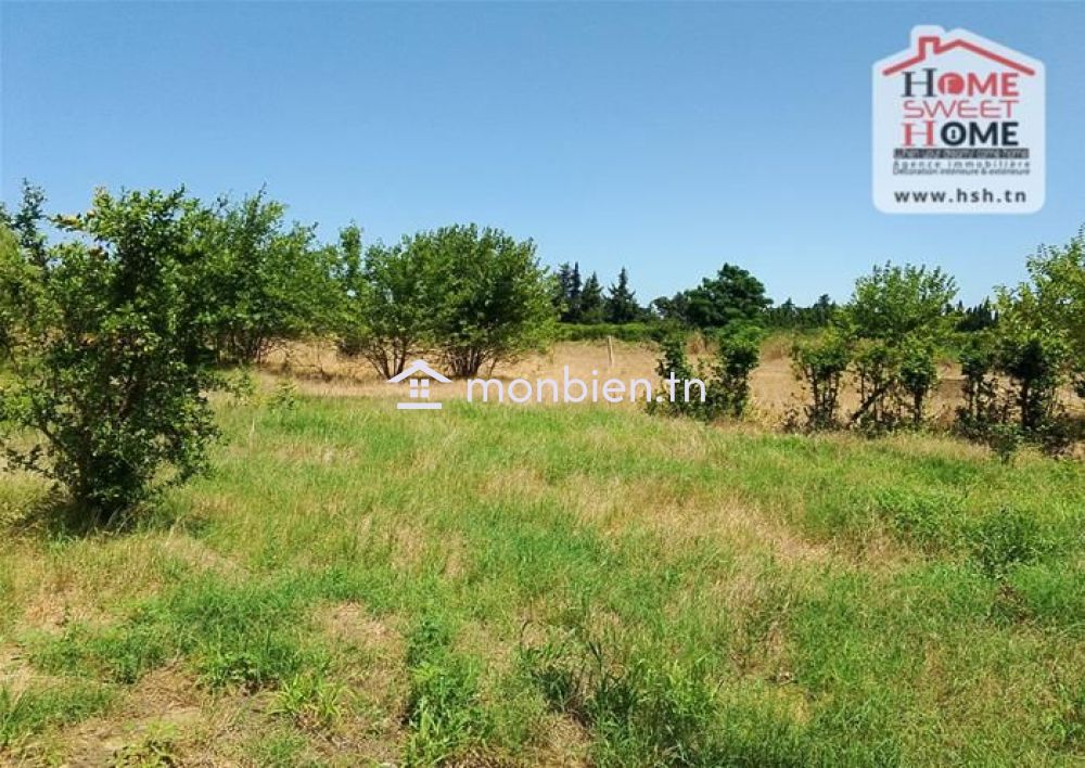 Terrain Agricole Zied à vendre à Nabeul
