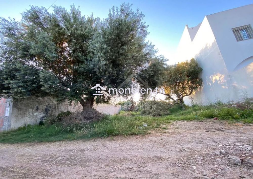 Lot de terrain de 250 m² à Hammamet à vendre 51355351