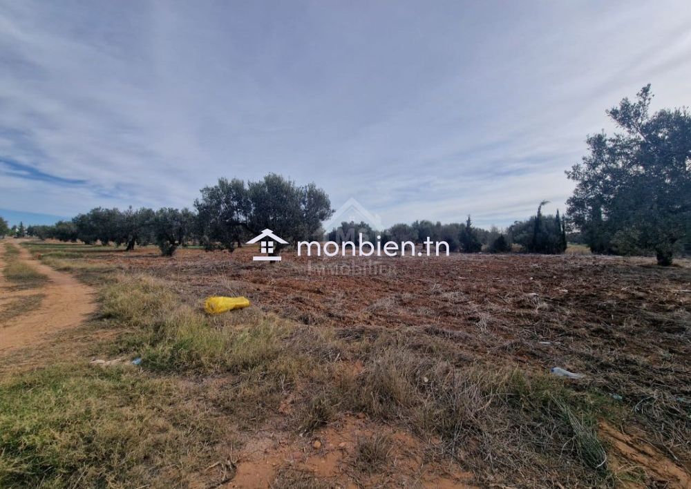 Terrain de 1000 m² à Hammamet Sud à vendre à 230 MD 51355351
