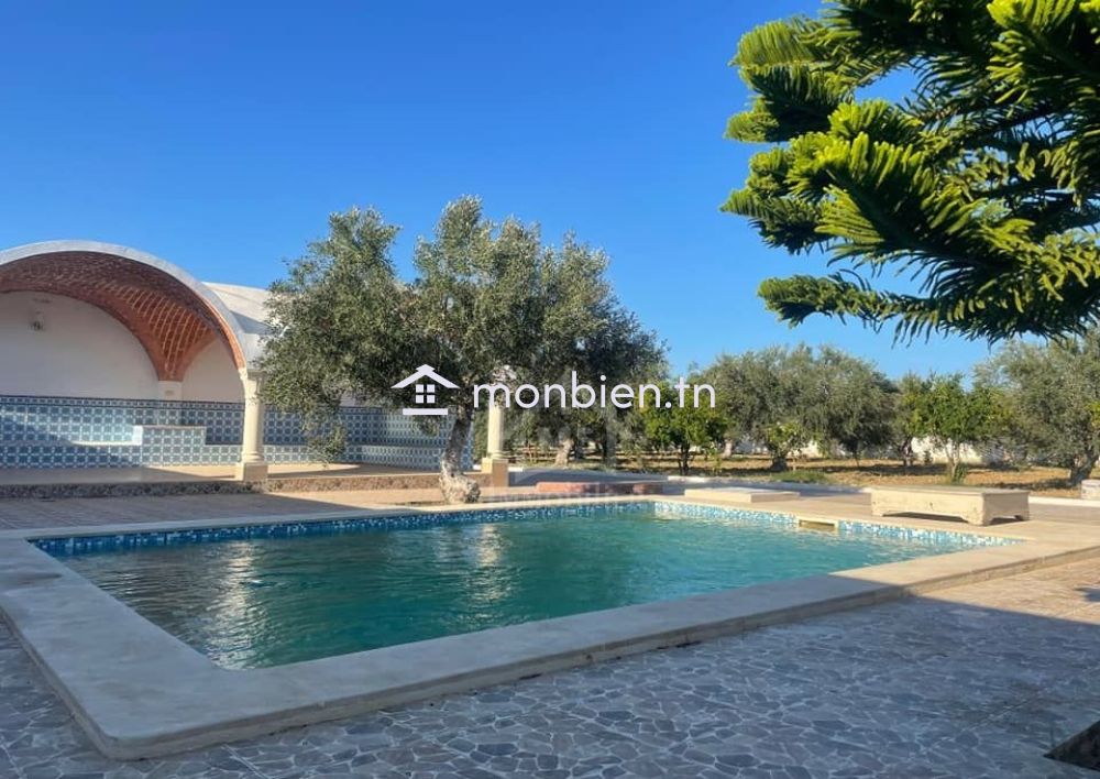 Une grande propriété à Hammamet Sud à vendre 51355351