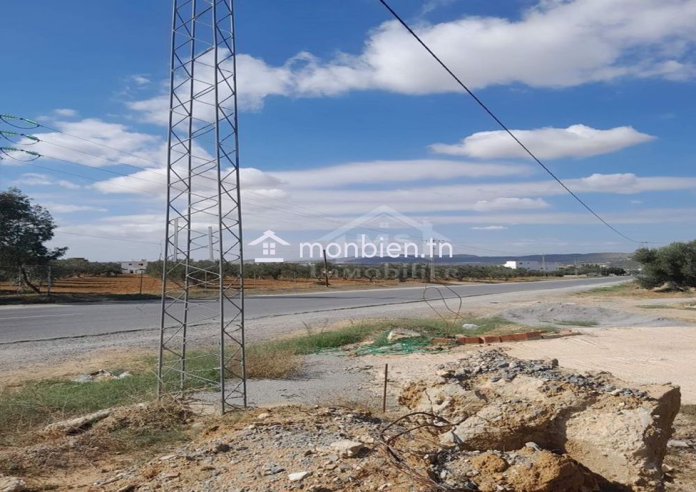Un terrain de 200 m² sur la route principale à Hammamet Sud 51355351