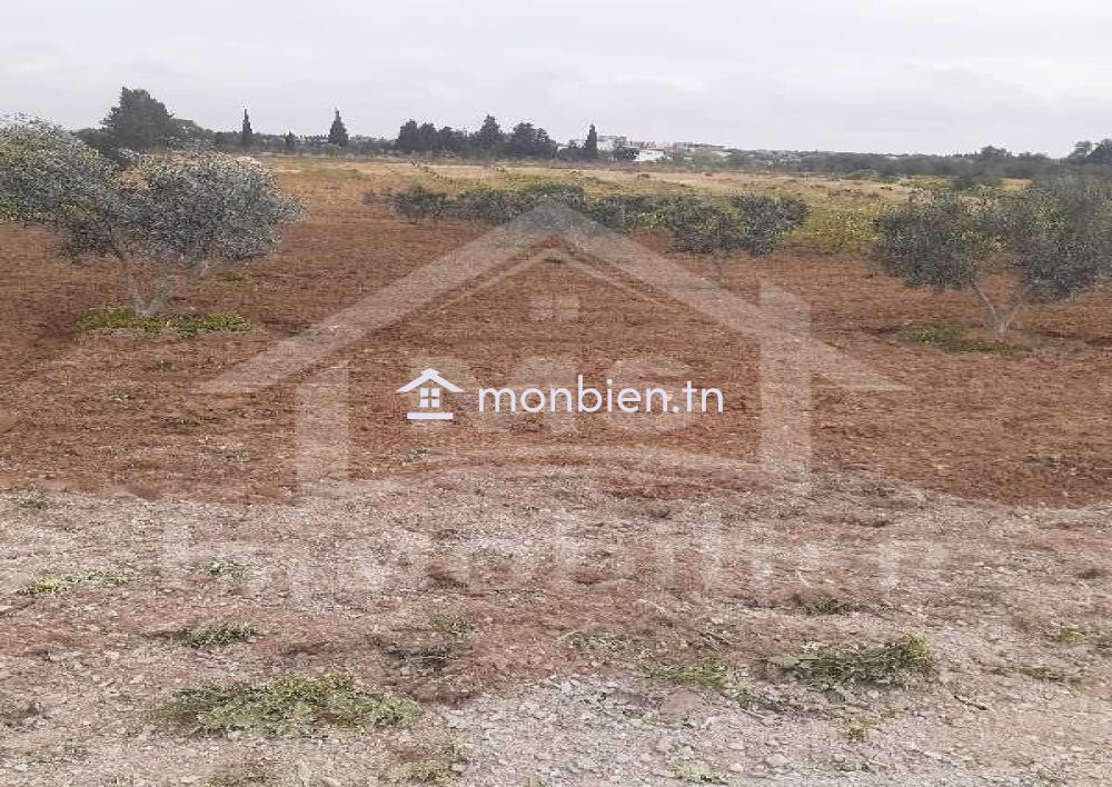 Terrain de 2200 m² à vendre à Hammamet Sud 51355351