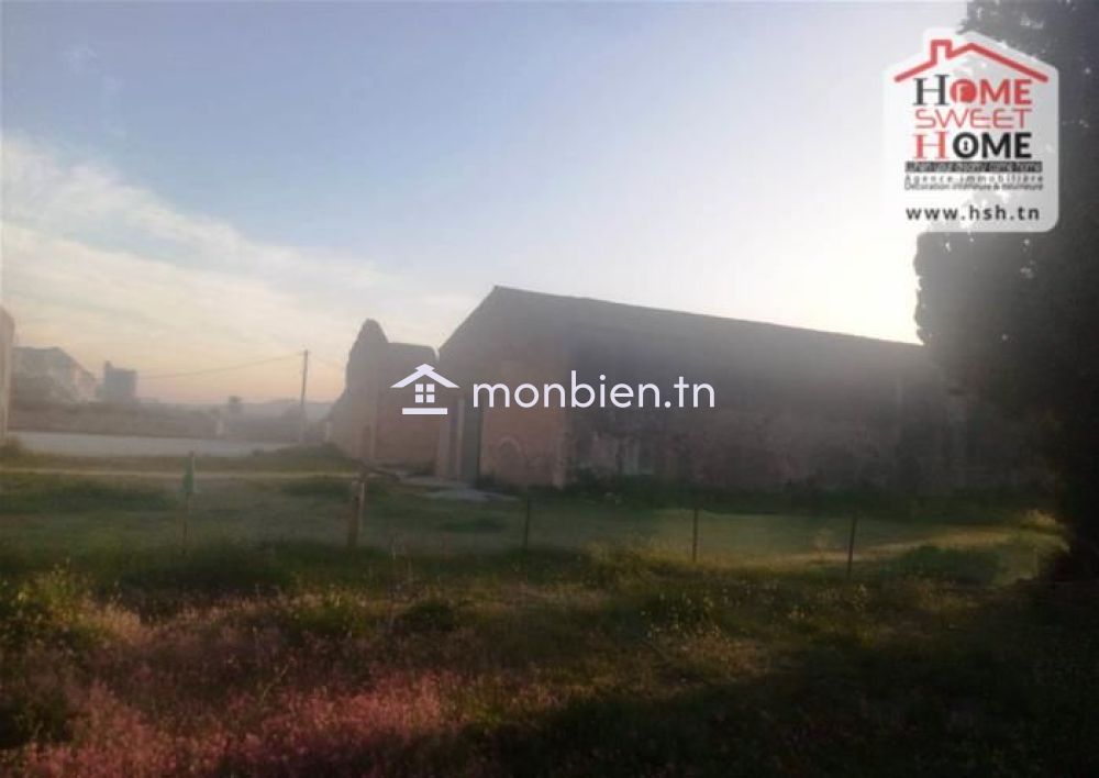 Dépôt Belha à vendre à Mornag