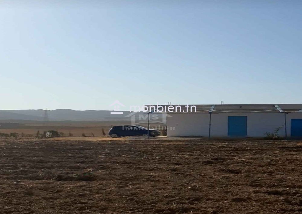 Terrain de 6.5 hectares avec une maison à vendre 51355351