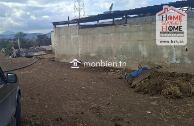 Terrain agricole Sassina à vendre à Grombalia