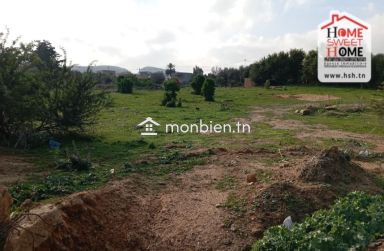 Terrain Promoteur Dario à Vendre à Borj Touil