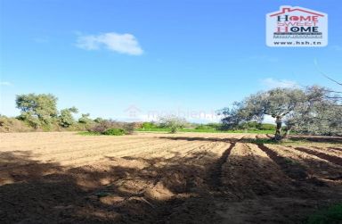 Terrain agricole Silva à vendre à Hammam Ghezèze