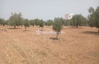Terrain de 4800 m² à Sidi Mtir à vendre à 270 MD 51355351
