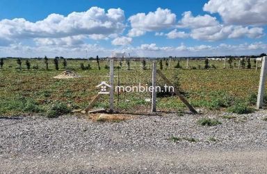 Terrain clôturé de 1000 m² à vendre à 110 MD à Hammamet Sud 51355351