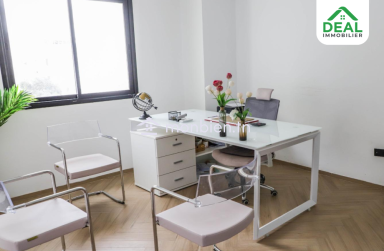 Bureau professionnel à Tunis centre