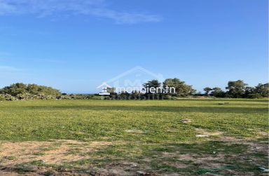2 terrains vue de mer à vendre à Jinen Béni Khiar 51355351