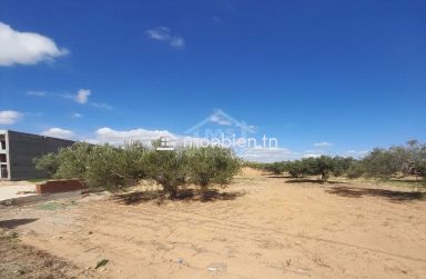 Un terrain de 200 m² sur la route principale à Hammamet Sud 51355351