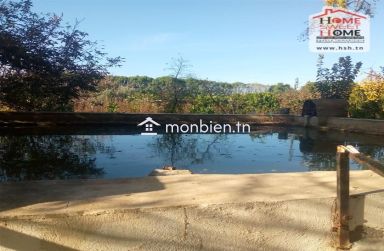 Terrain agricole Olivora à vendre à Menzel Bouzelfa