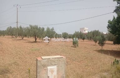 Terrain de 4800 m² à Sidi Mtir à vendre à 270 MD 51355351