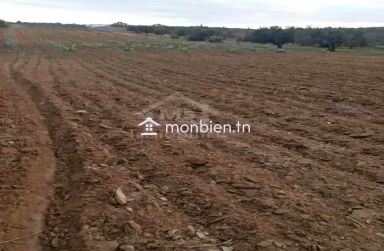 Terrain de 2000 m² à birbouragba à vendre 51355351