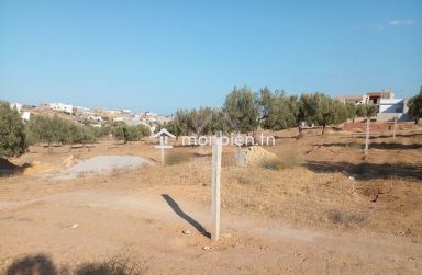 Terrain de 400 m² avec vue de mer à Hammamet Sud à vendre 51355351