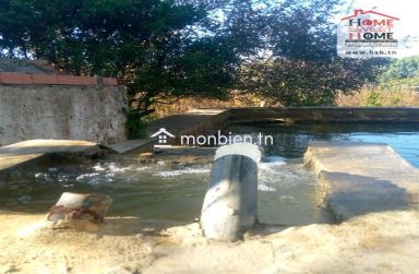 Terrain agricole Olivora à vendre à Menzel Bouzelfa