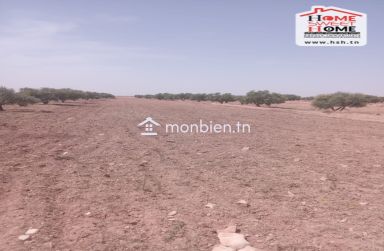 Terrain Agricole Lyric à Vendre à Feriana Kasserine
