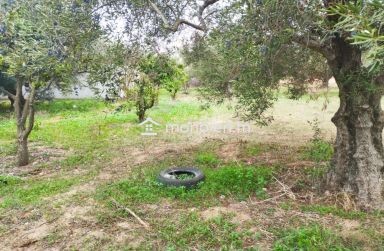 Terrain de 850 m² à vendre à Hammamet Sud 51355351