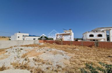 Terrain de 773 m² à Hammamet Sud à vendre à 150 MD 51355351