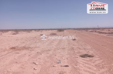 Terrain Agricole Pinova à Vendre à Gafsa