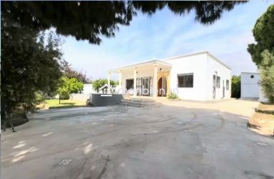 Charmante villa avec piscine à vendre à Hammamet 51355351