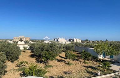 Une grande propriété à Hammamet Sud à vendre 51355351