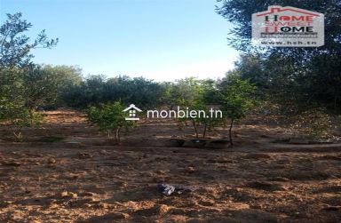 Terrain agricole Ecovera à vendre à Sousse