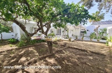 Bungalow Maya AL3529 Hammamet zone theatre