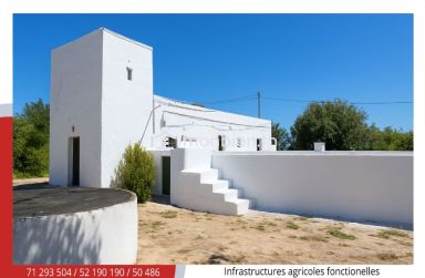 Ferme Agricole d’Agrumes à Soliman Menzel Bou Zelfa (5 ha)