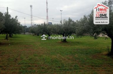 Ferme EL Baha à Vendre à Mornag