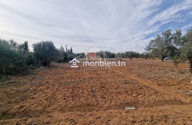 Terrain de 970 m² à Hammamet Sud à vendre à 230 MD 51355351