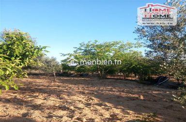 Terrain agricole Ecovera à vendre à Sousse