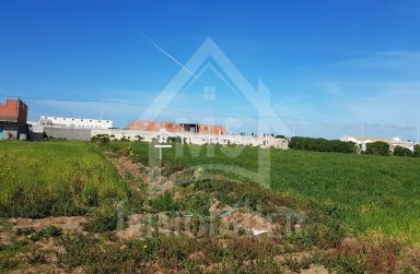 Terrain pieds dans l'eau avec 2 garages à Korba à vendre 51355351