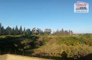 Terrain agricole Oraniva à vendre à Menzel Bouzelfa