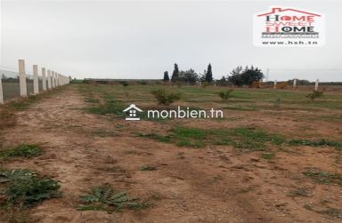 Terrain agricole Agrumia à vendre à Mjez El Beb