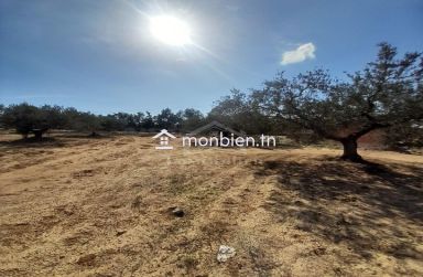 Un terrain de 200 m² sur la route principale à Hammamet Sud 51355351