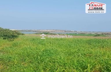 Terrain Agricole Toris à Vendre à Hammem Ghzez