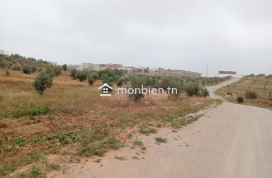Un superbe lot de terrain de 382 m² à Hammamet Sud à vendre 51355351