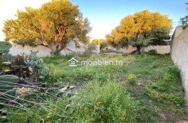 Lot de terrain de 250 m² à Hammamet à vendre 51355351