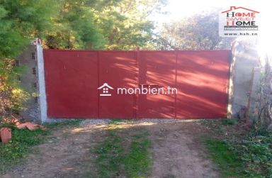 Terrain agricole Olivora à vendre à Menzel Bouzelfa