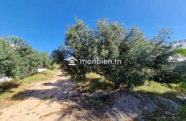 Terrain clôtué de 520 m² à Mrezga à vendre 51355351