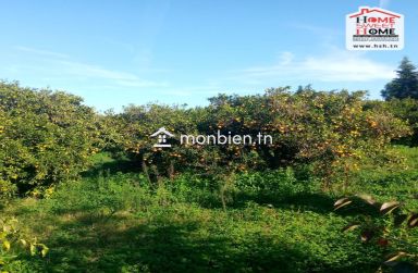 Terrain Agricole Sérénité à Vendre à Menzel Bouzelfa