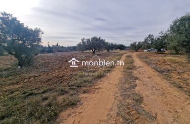 Terrain de 970 m² à Hammamet Sud à vendre à 230 MD 51355351